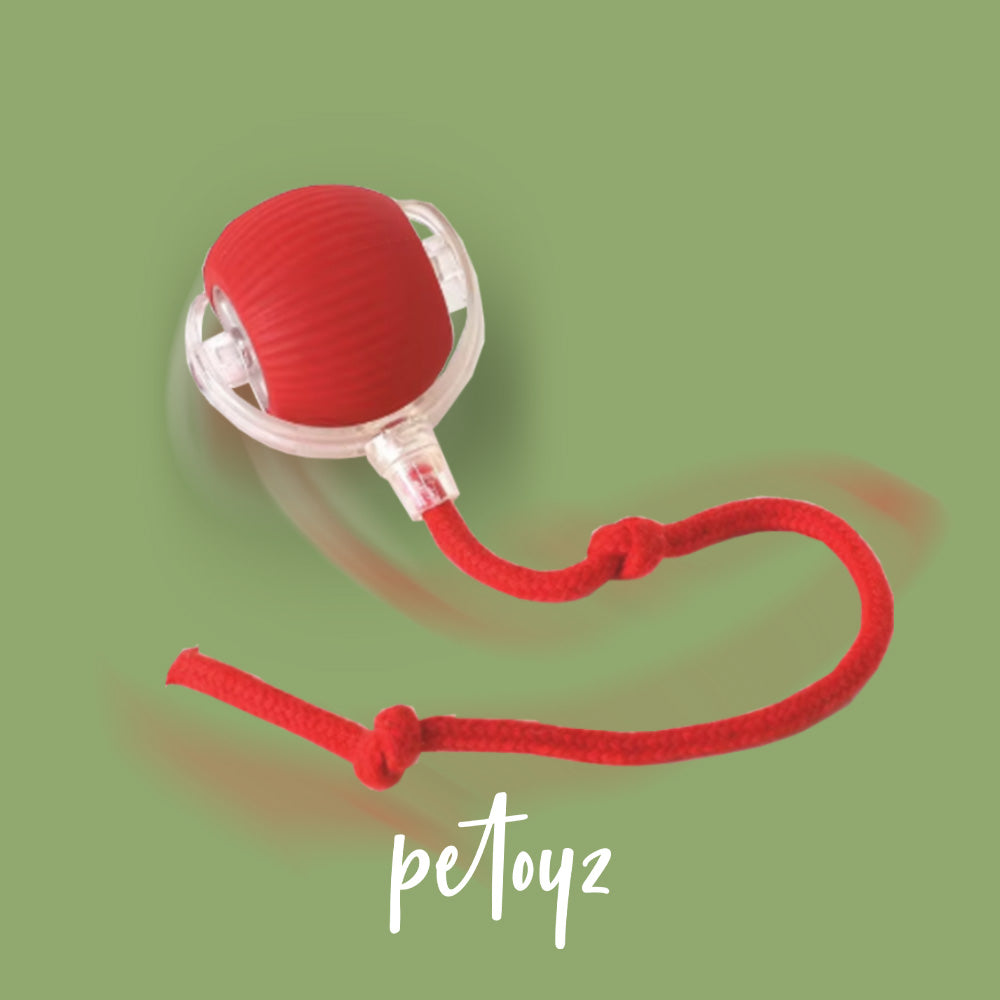 360° Smart Automatic Interactive Dog Smart Ball Toy Interactive Cat Toys Rolling Ball with USB Charger