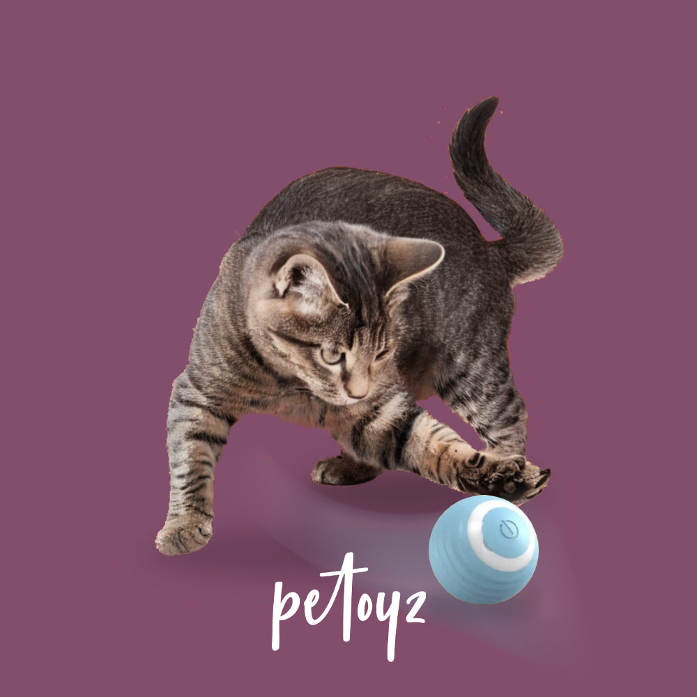 Self-Vibrating Ball with USB Rechargeable pet Exercise Chase Toy Ball Cat Smart Vibrating Balls Toys