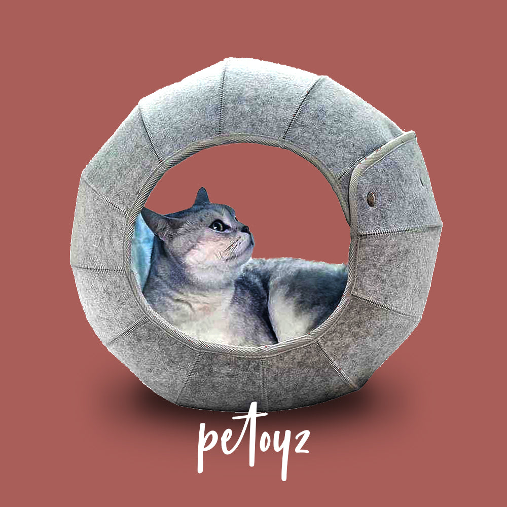 Foldable Home Cat Snail House - Washable and Portable