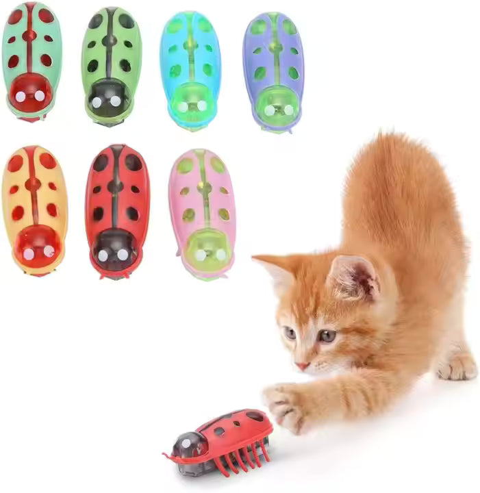 Mini Ladybug Interactive Cat Toy