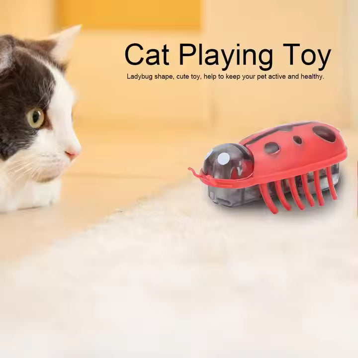 Mini Ladybug Interactive Cat Toy