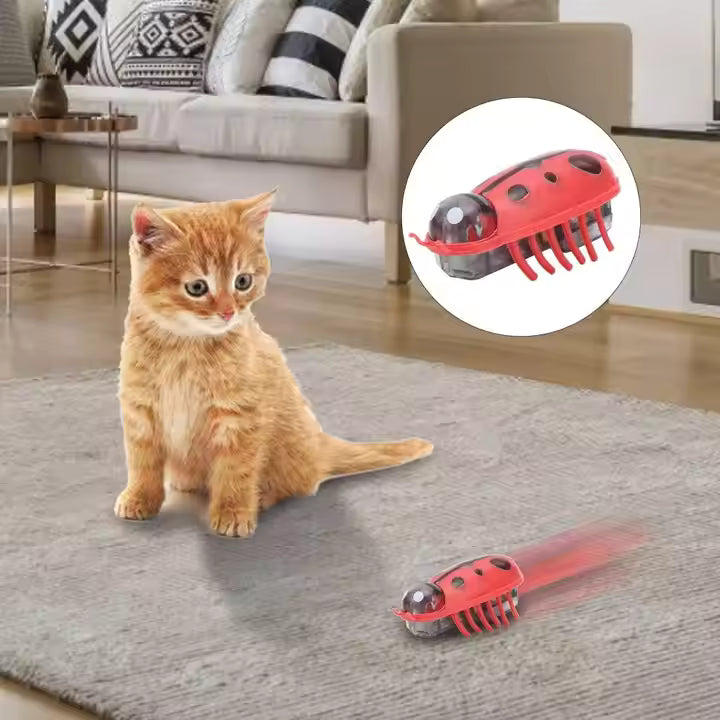 Mini Ladybug Interactive Cat Toy