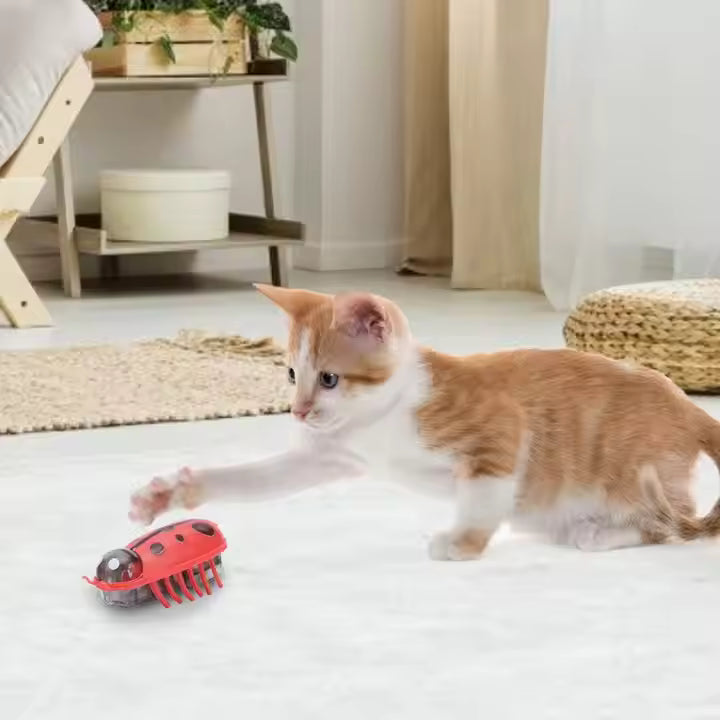 Mini Ladybug Interactive Cat Toy