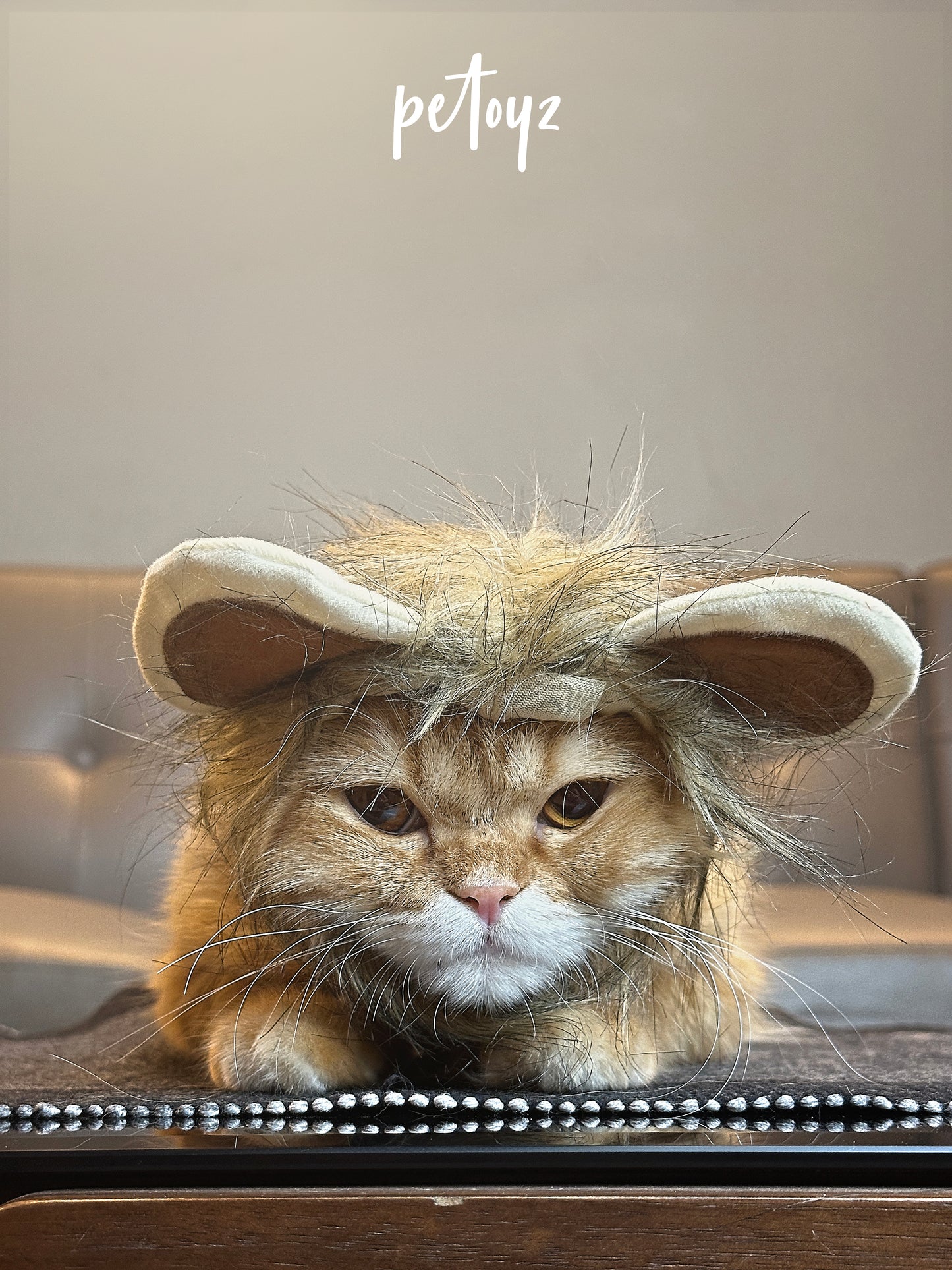 Cute Lion's Cat Wig - Hat Funny Pet Costumes Cap