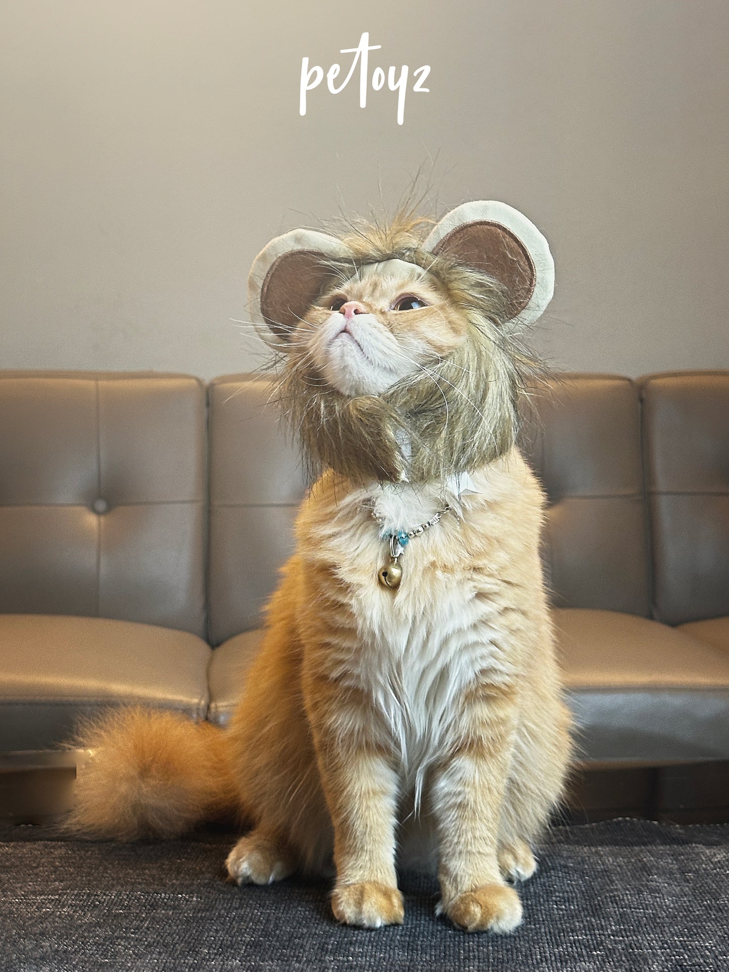 Cute Lion's Cat Wig - Hat Funny Pet Costumes Cap