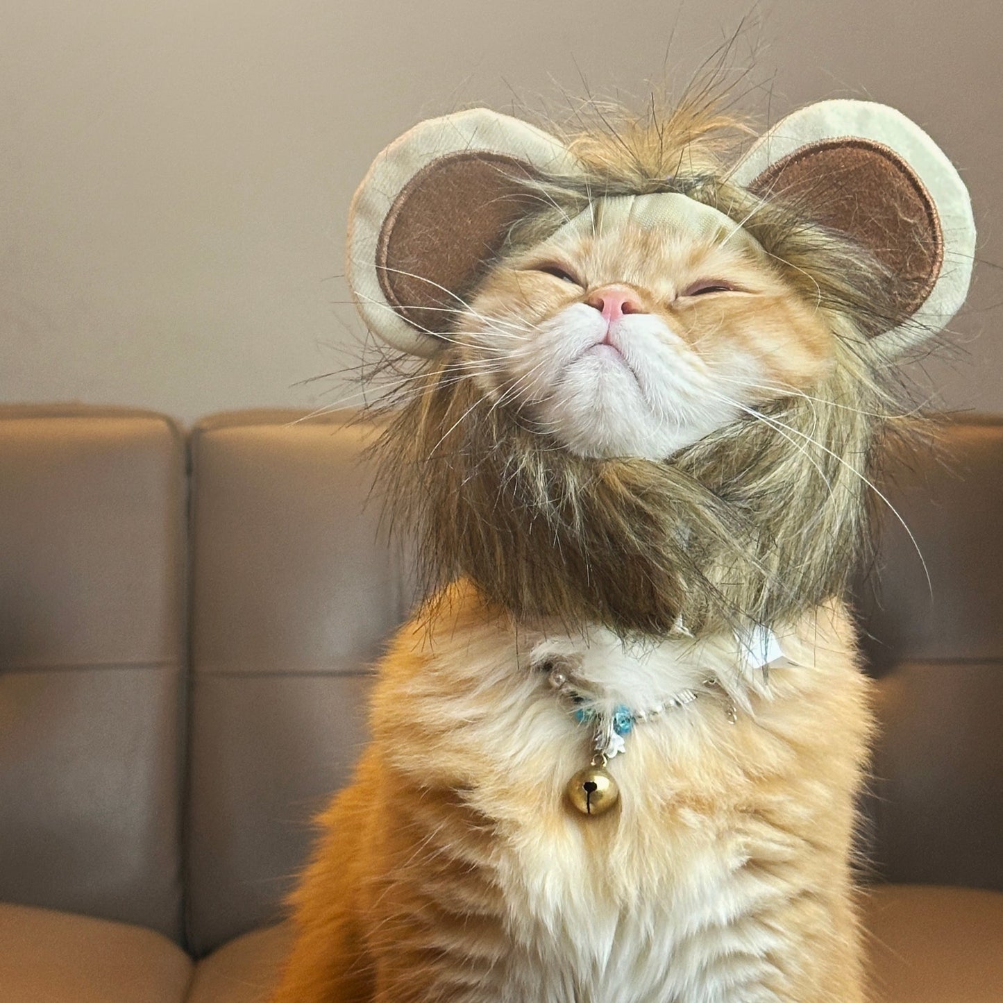 Cute Lion's Cat Wig - Hat Funny Pet Costumes Cap