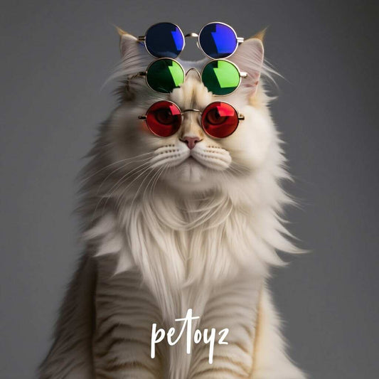 Cat Sunglass