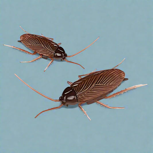 Plastic Realistic Insect Cockroach Electronic Mantis Trick Toys