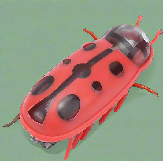 Mini Ladybug Interactive Cat Toy
