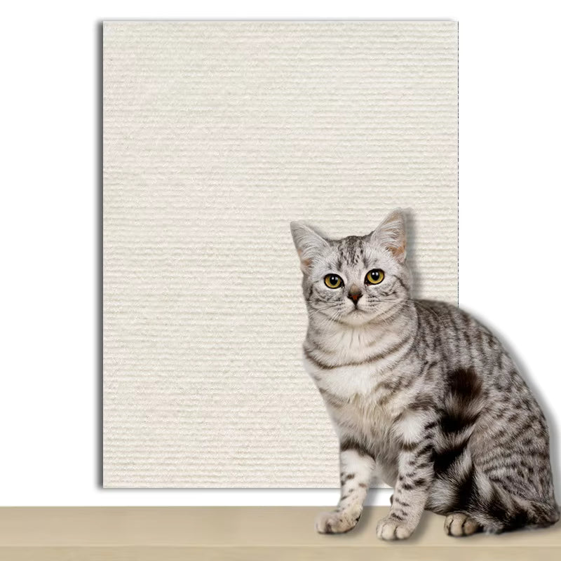 Cat Scratch Mat