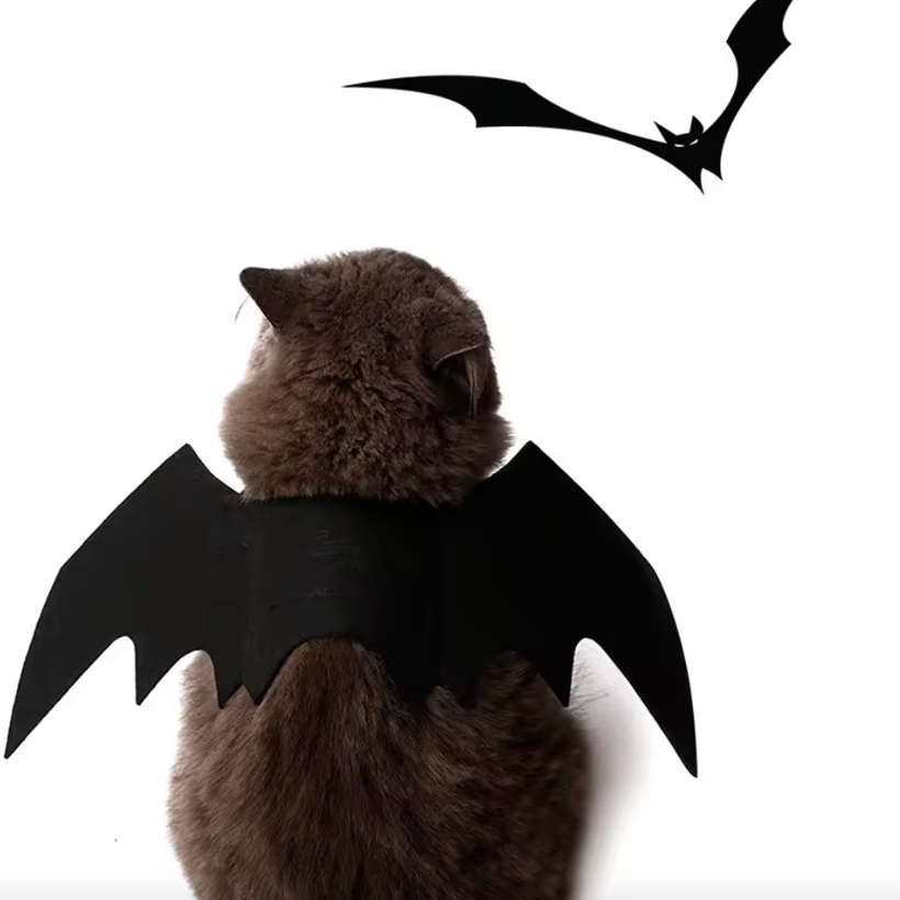 Cat Wing Costume - Cosplay Props